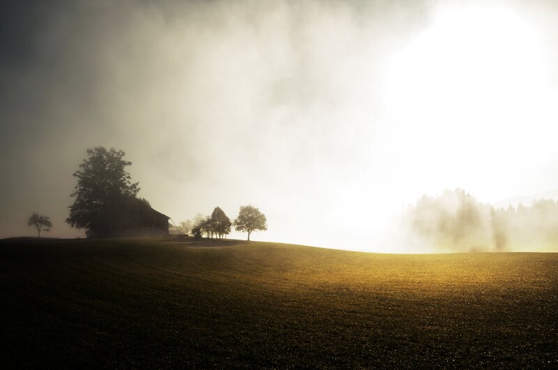 Misty morning on a hill