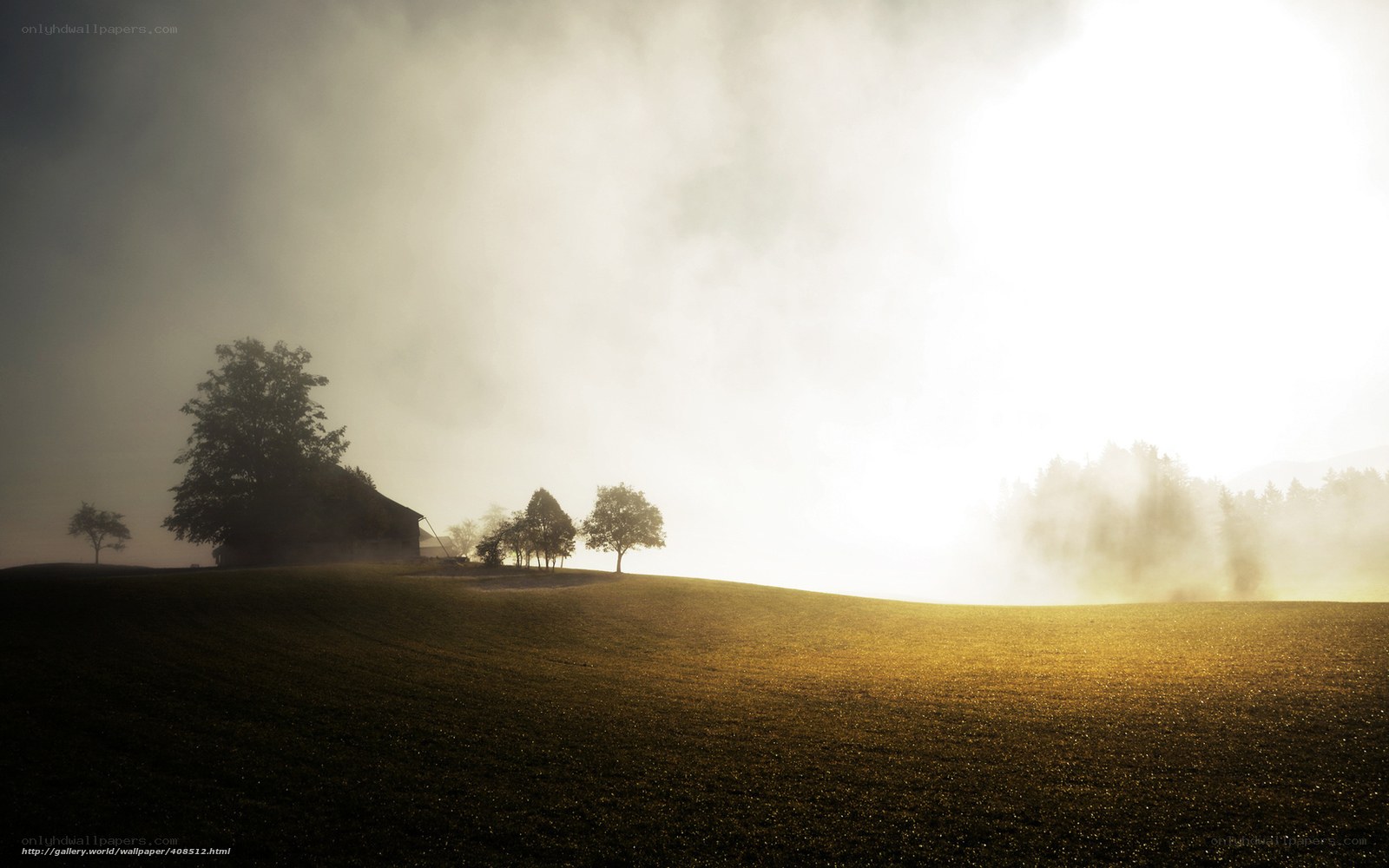 Misty morning on a hill