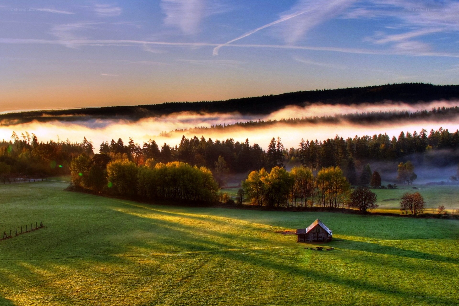 Misty morning over a green field