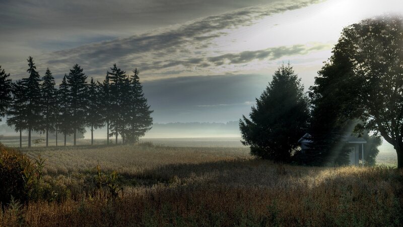Misty morning over a rural field