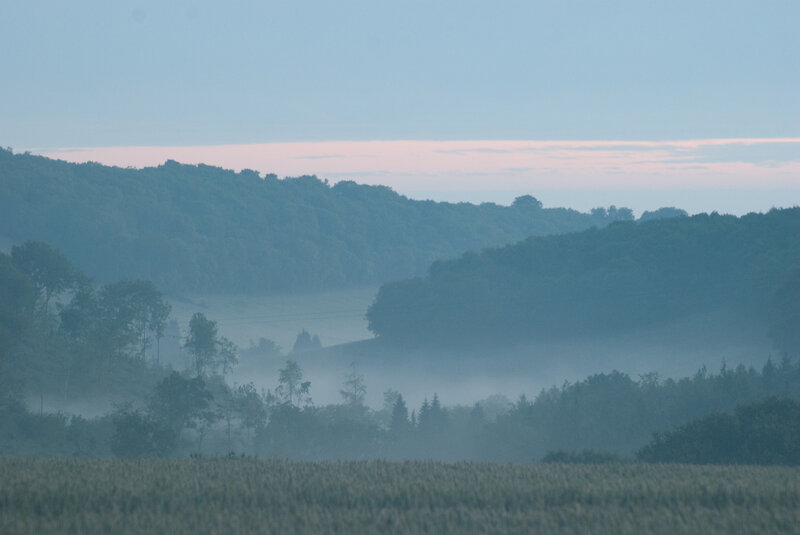 Misty morning over forested hills