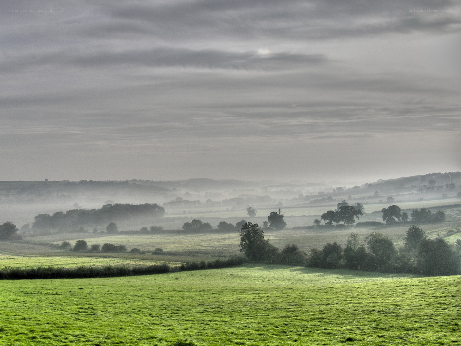 Misty morning over green fields
