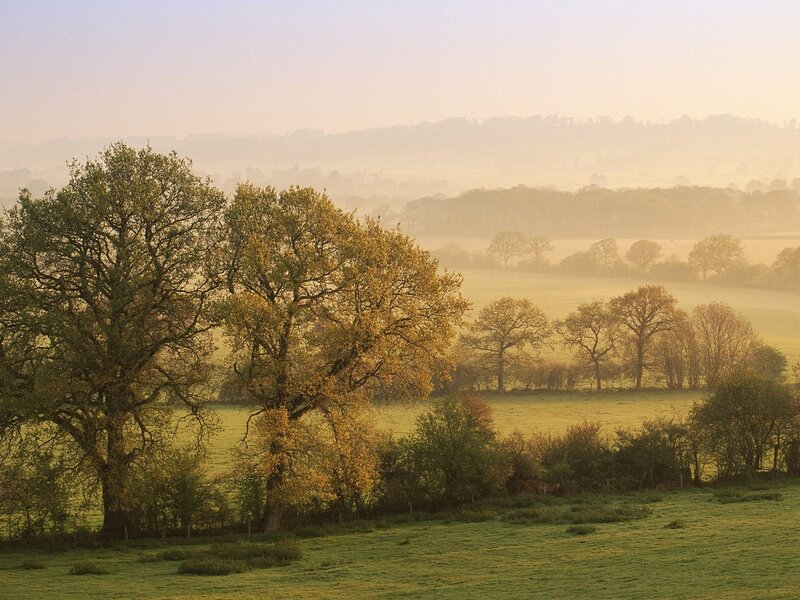 Misty morning over rolling hills