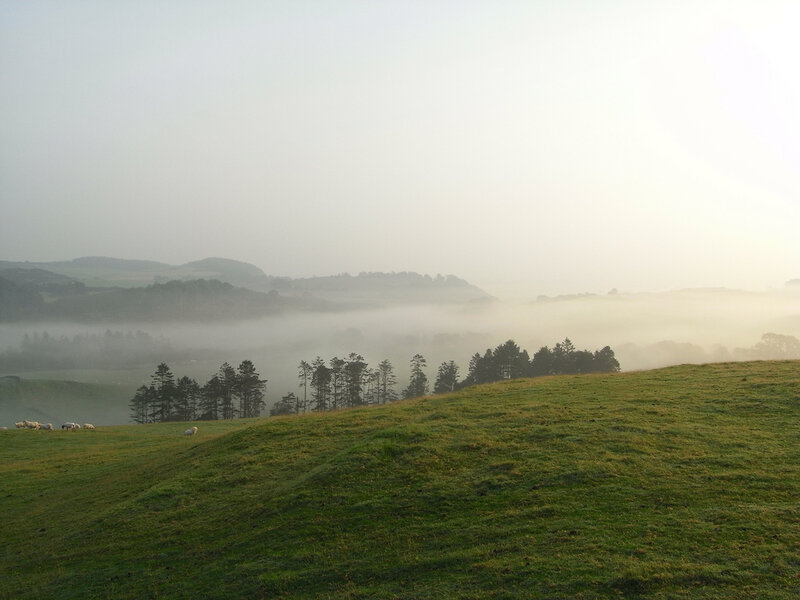 Misty morning over rolling hills