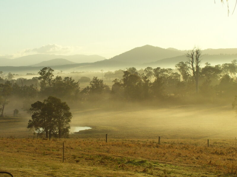 Misty morning over rolling hills