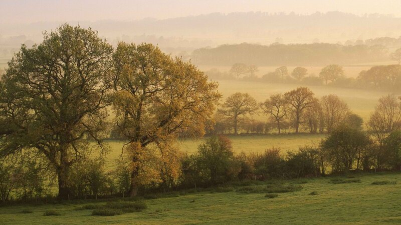 Misty morning over rolling hills