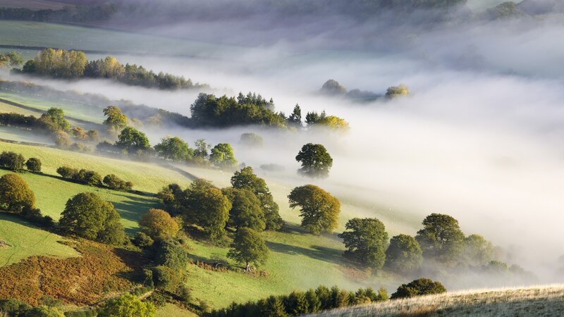 Misty morning over rolling hills