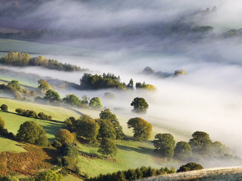 Misty morning over rolling hills