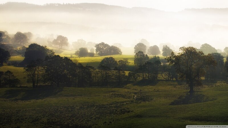 Misty morning over rolling hills
