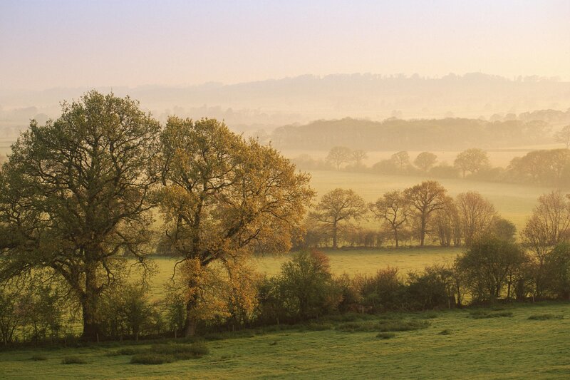 Misty morning over rolling hills