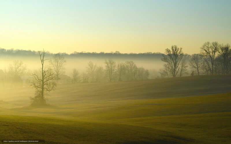 Misty morning over rolling hills