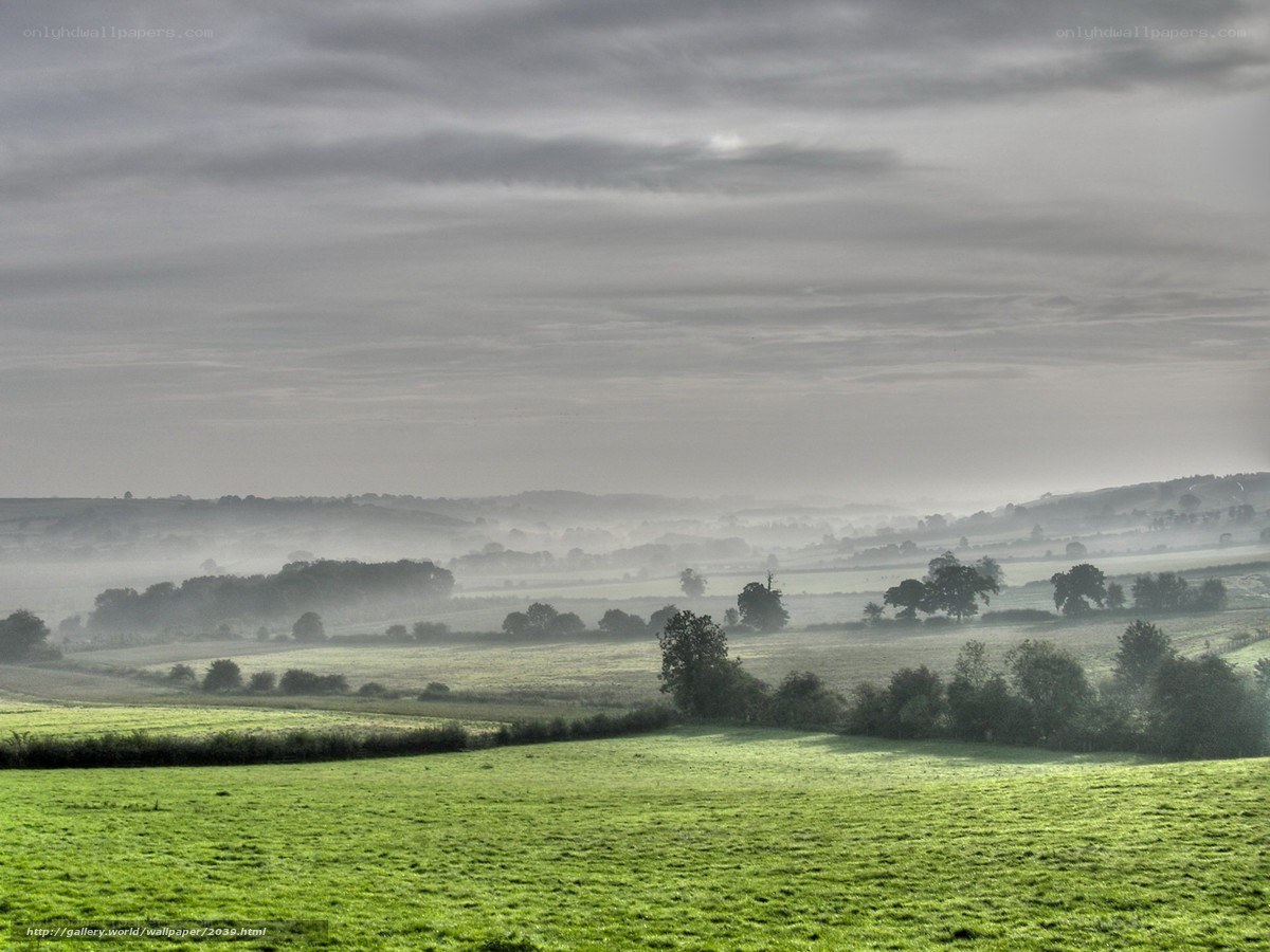 Misty Morning Over Rolling Hills