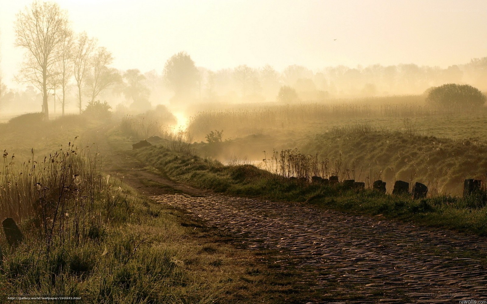 Misty morning path by river