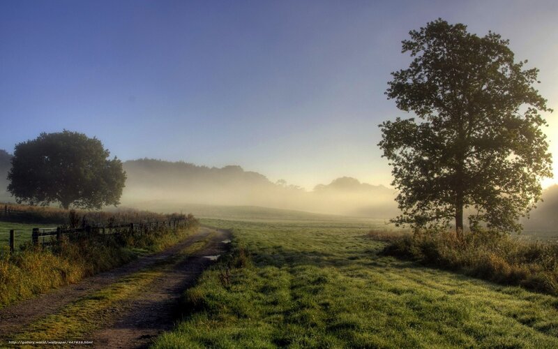 Misty morning path in the countryside