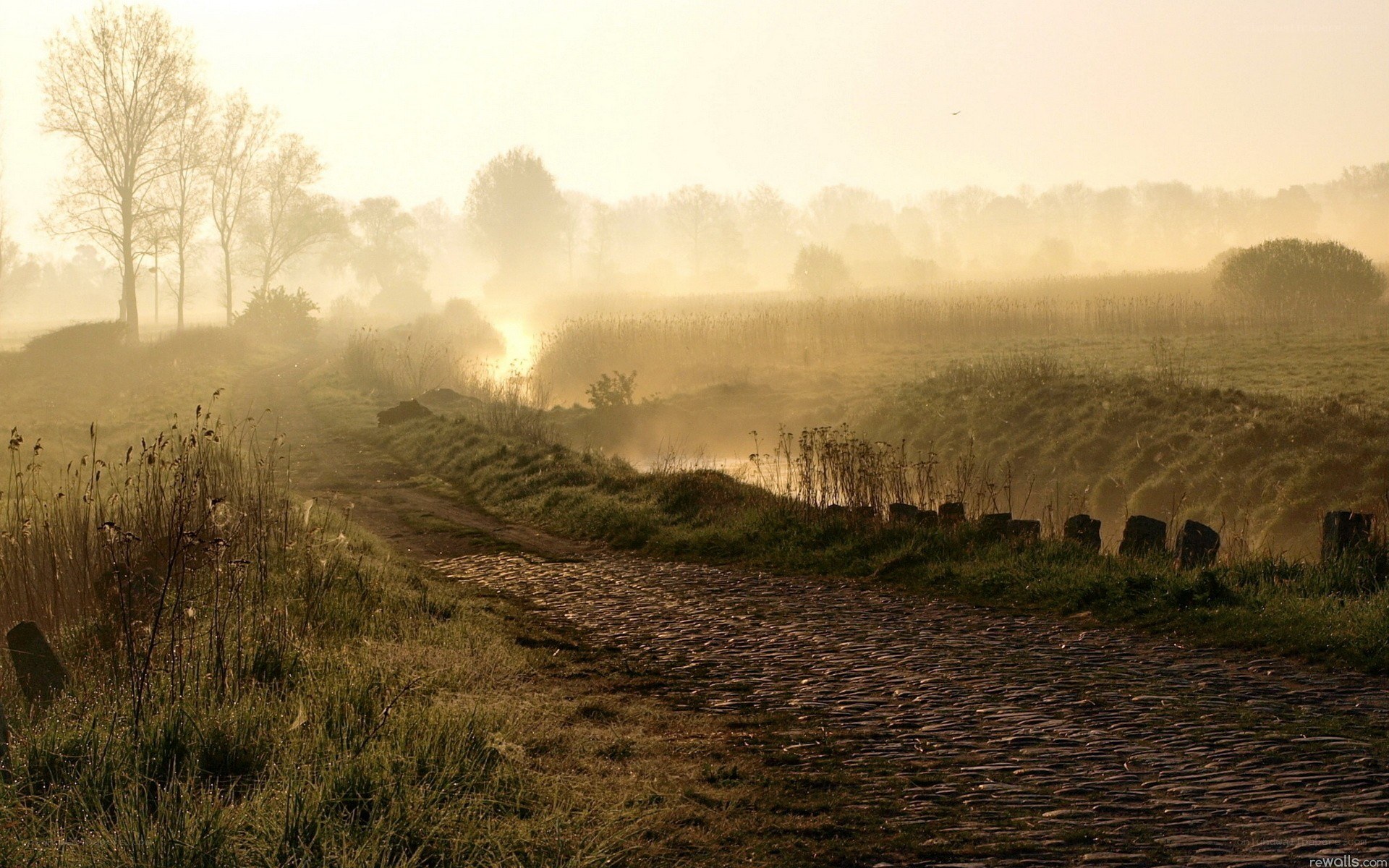 Misty morning path