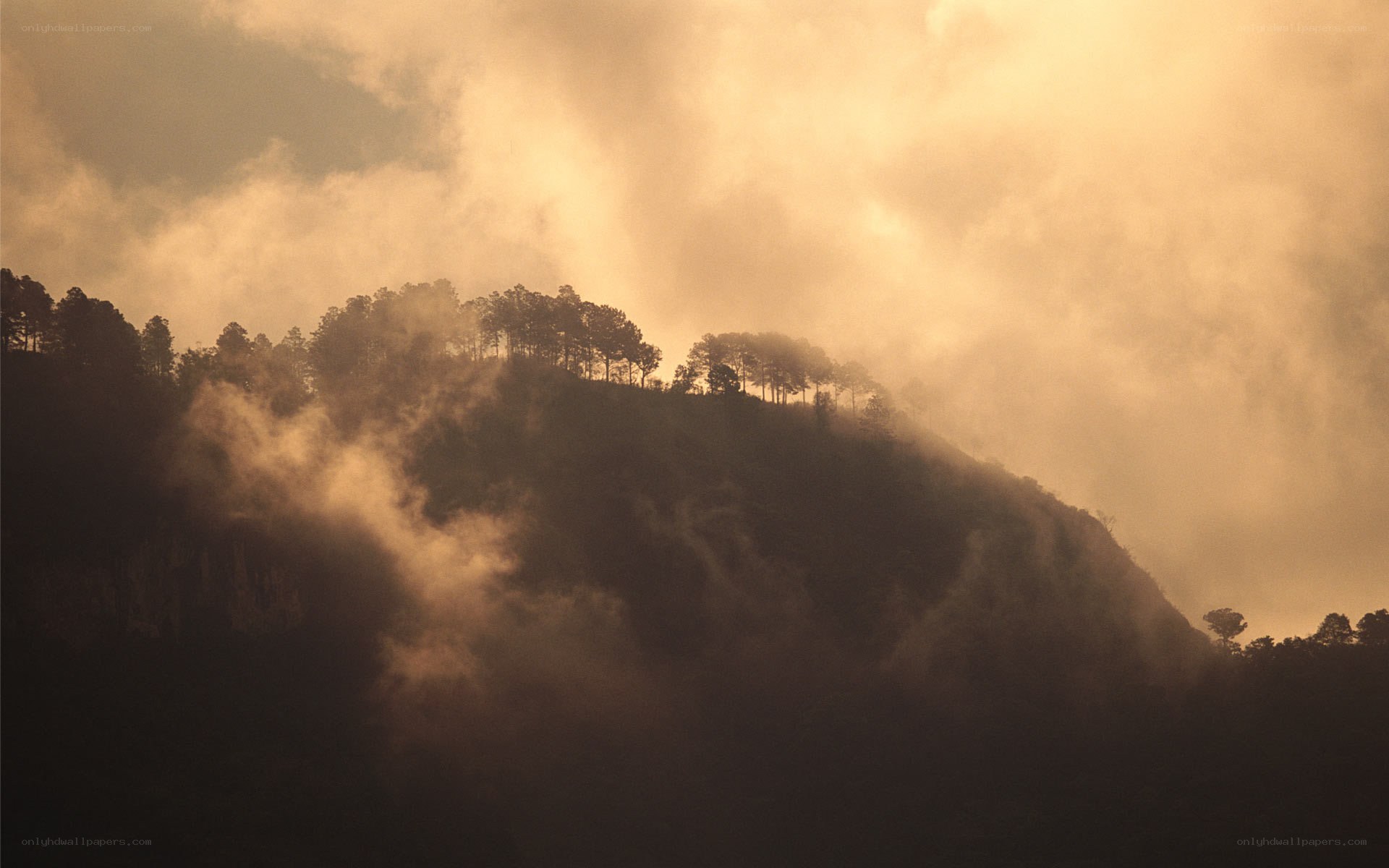 Misty mountain at sunrise
