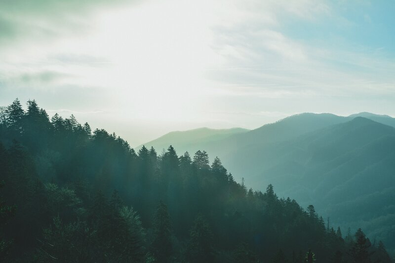 Misty mountain forest landscape