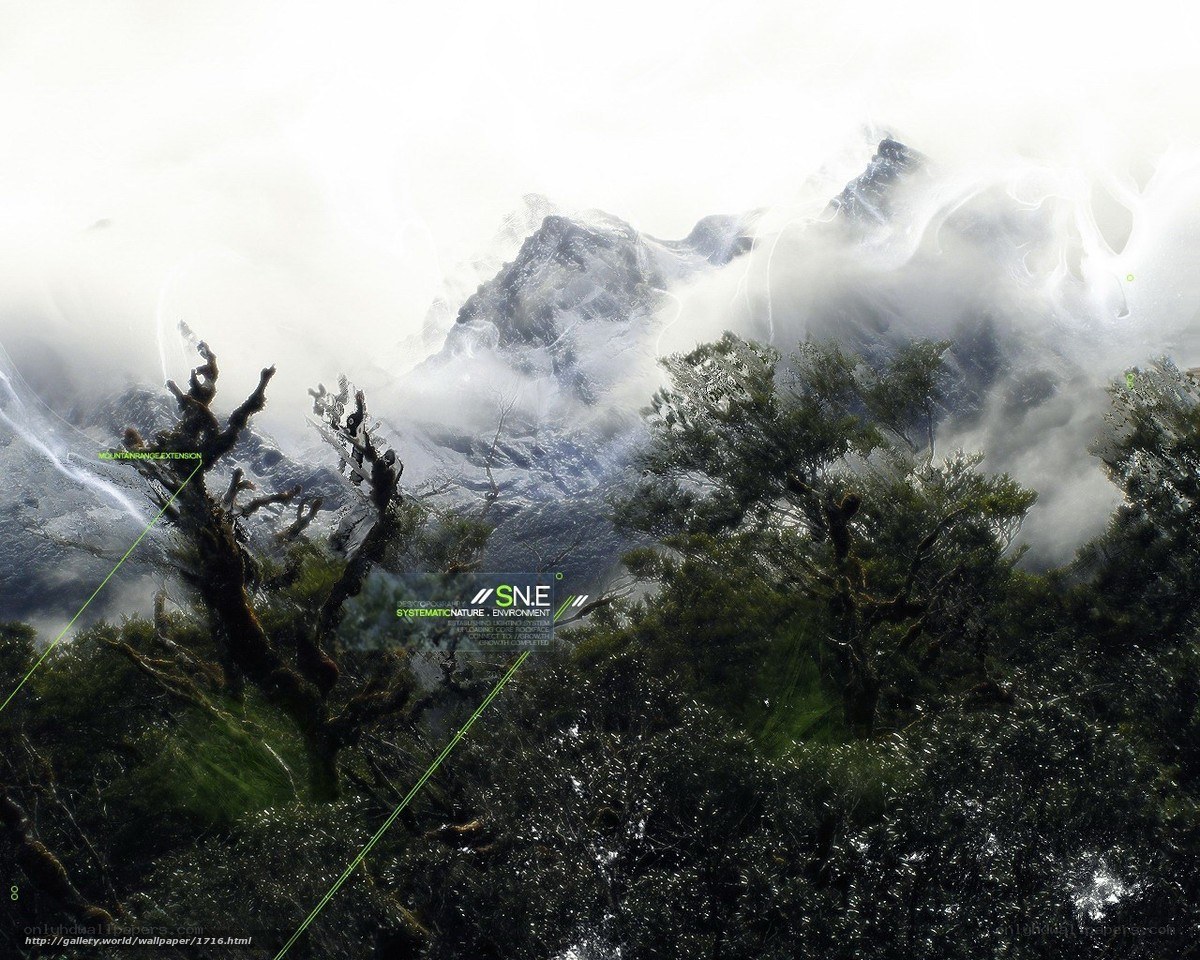 Misty Mountain Forest Landscape