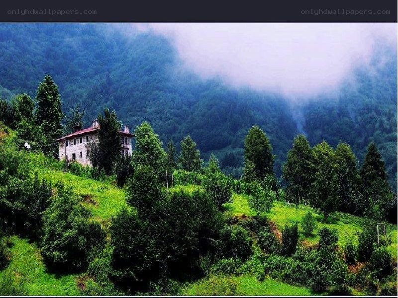 Misty mountain house