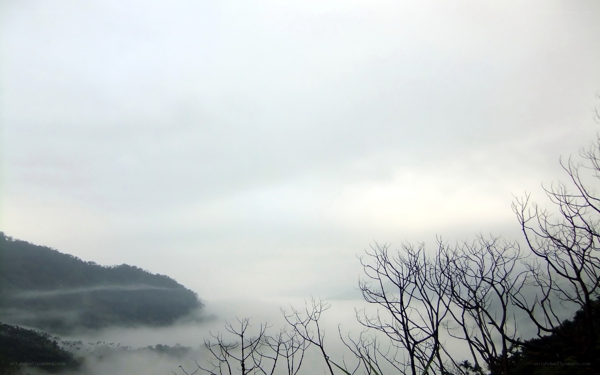 Misty mountain landscape