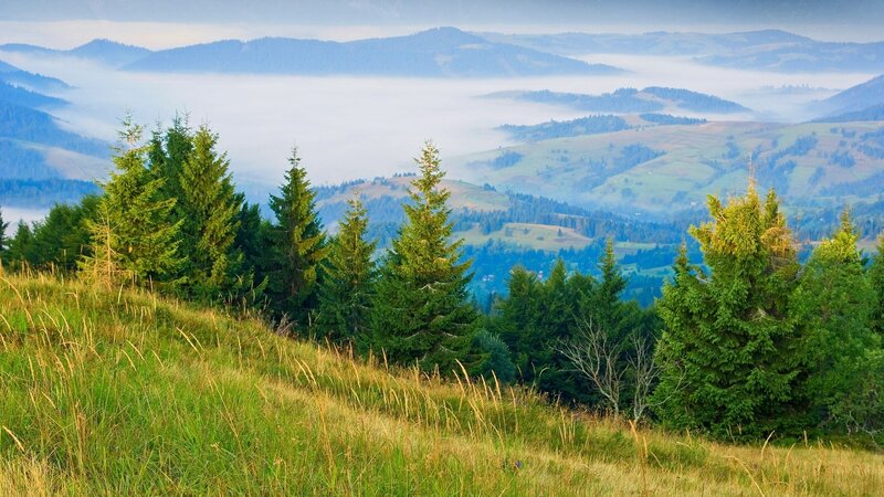 Misty mountain landscape