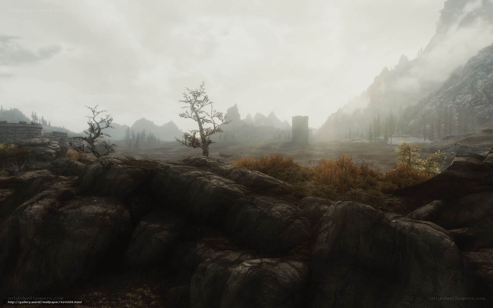 misty mountain landscape