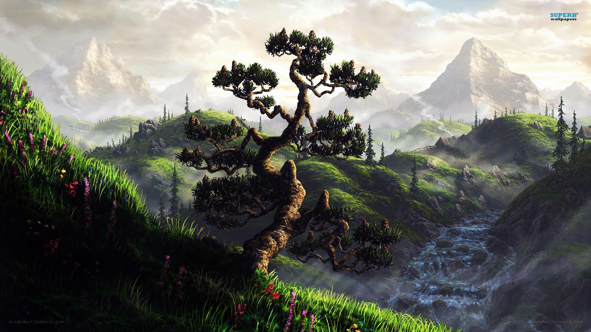 Misty mountain landscape with bonsai tree