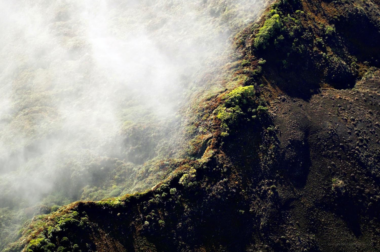 Misty mountain ridge with lush greenery