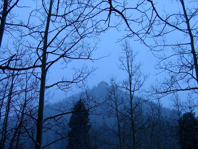 Misty mountain through bare trees
