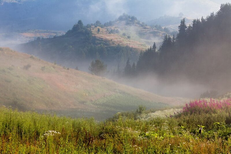 Misty Mountain Valley — Green
