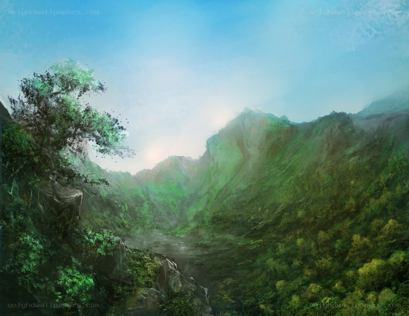 Misty mountain valley landscape