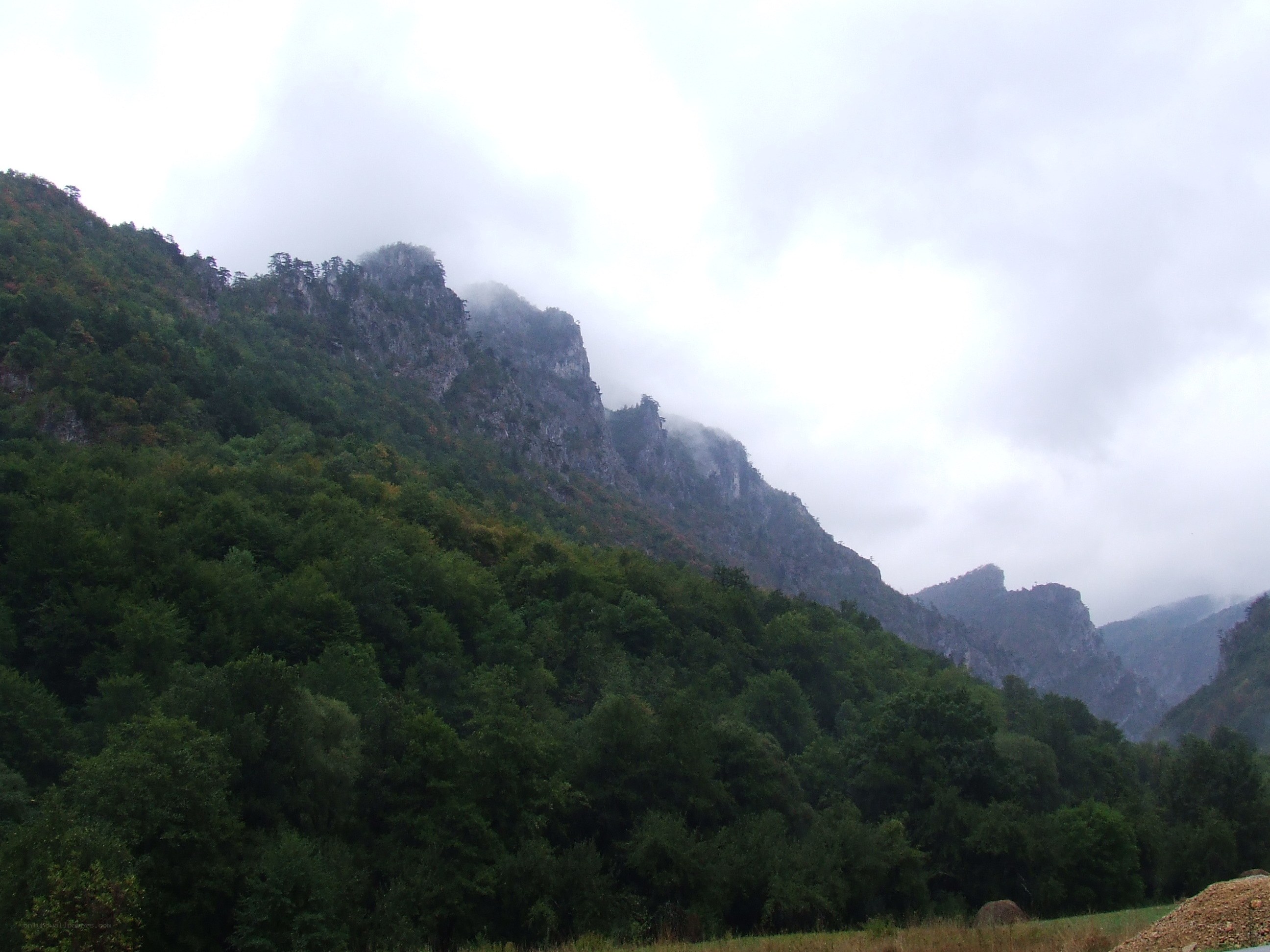 Misty mountains and forest