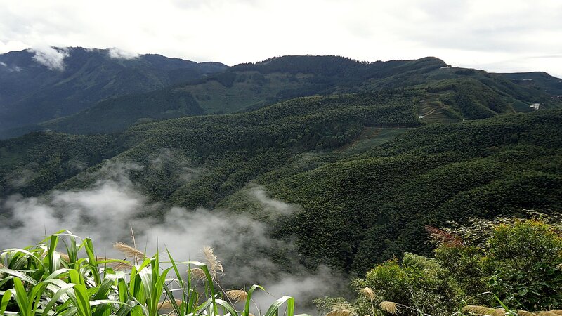 misty mountains and green hills