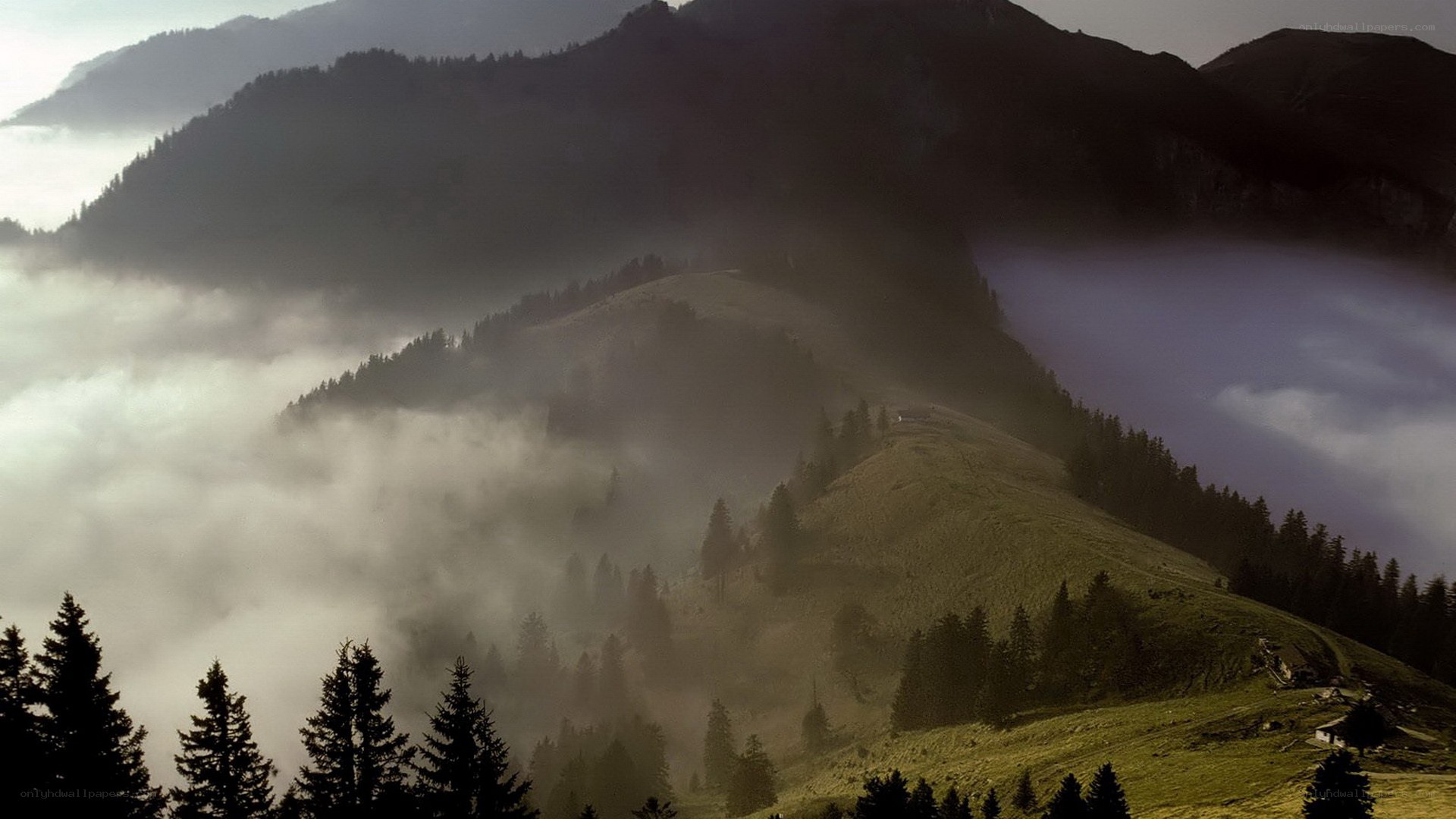 Misty mountains at dawn
