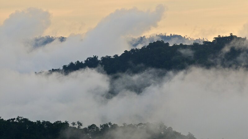 Misty Mountains at Dawn