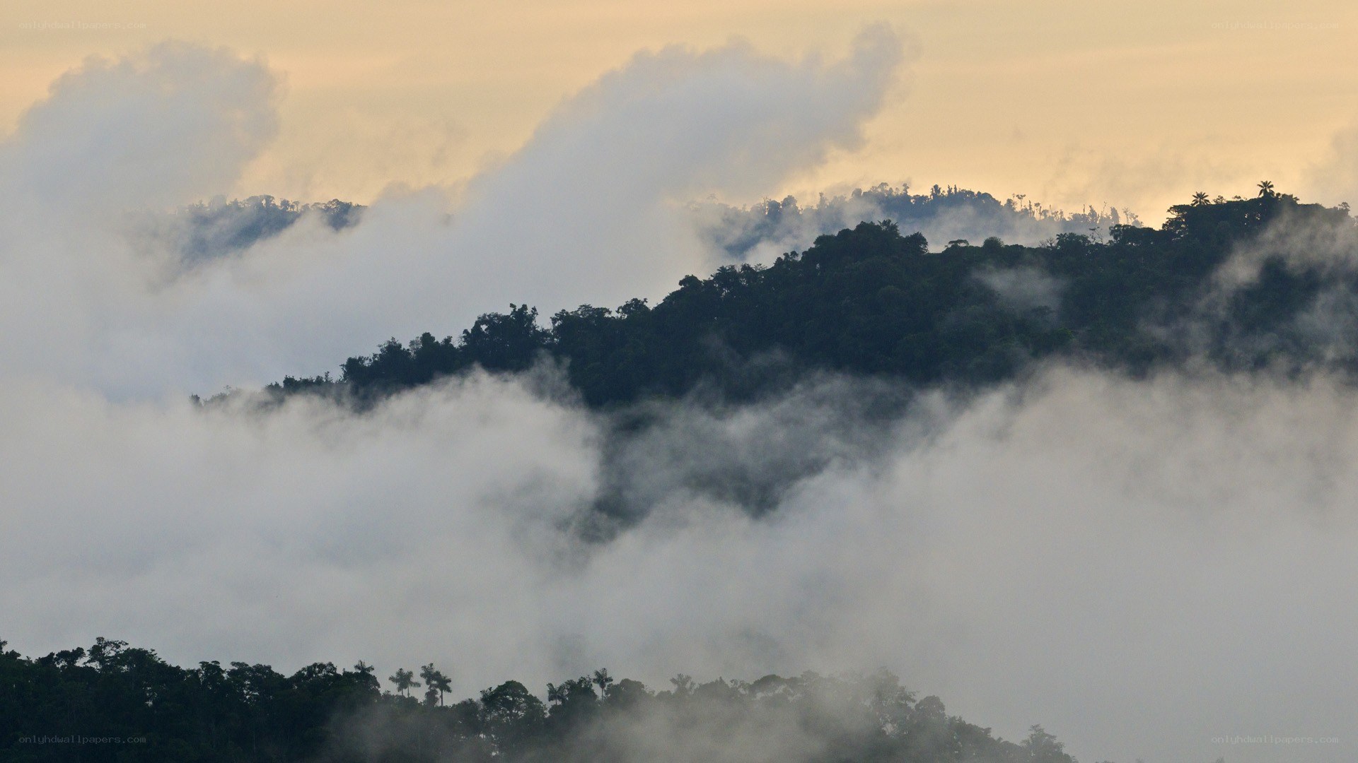 Misty Mountains at Dawn