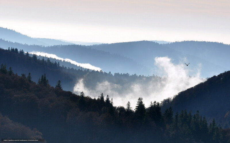Misty Mountains at Dawn