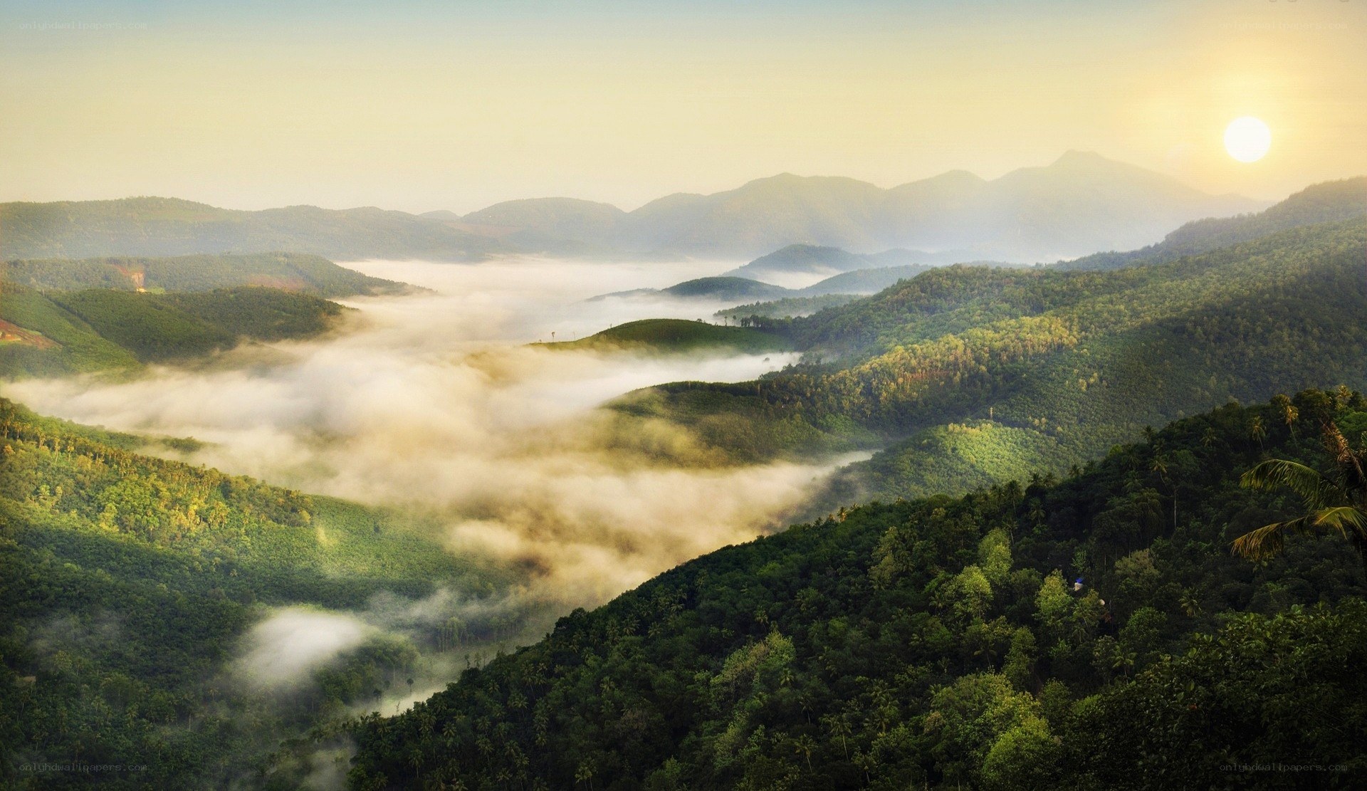 Misty mountains at sunrise
