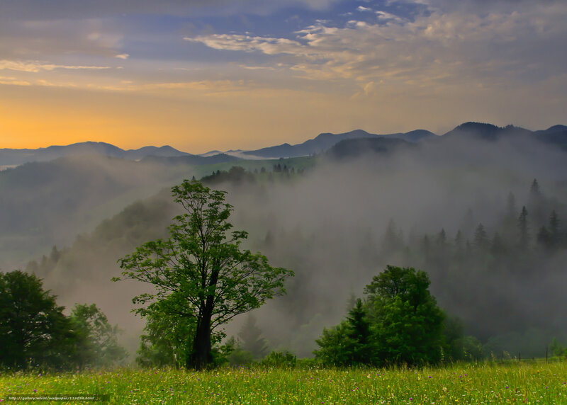 Misty mountains at sunrise
