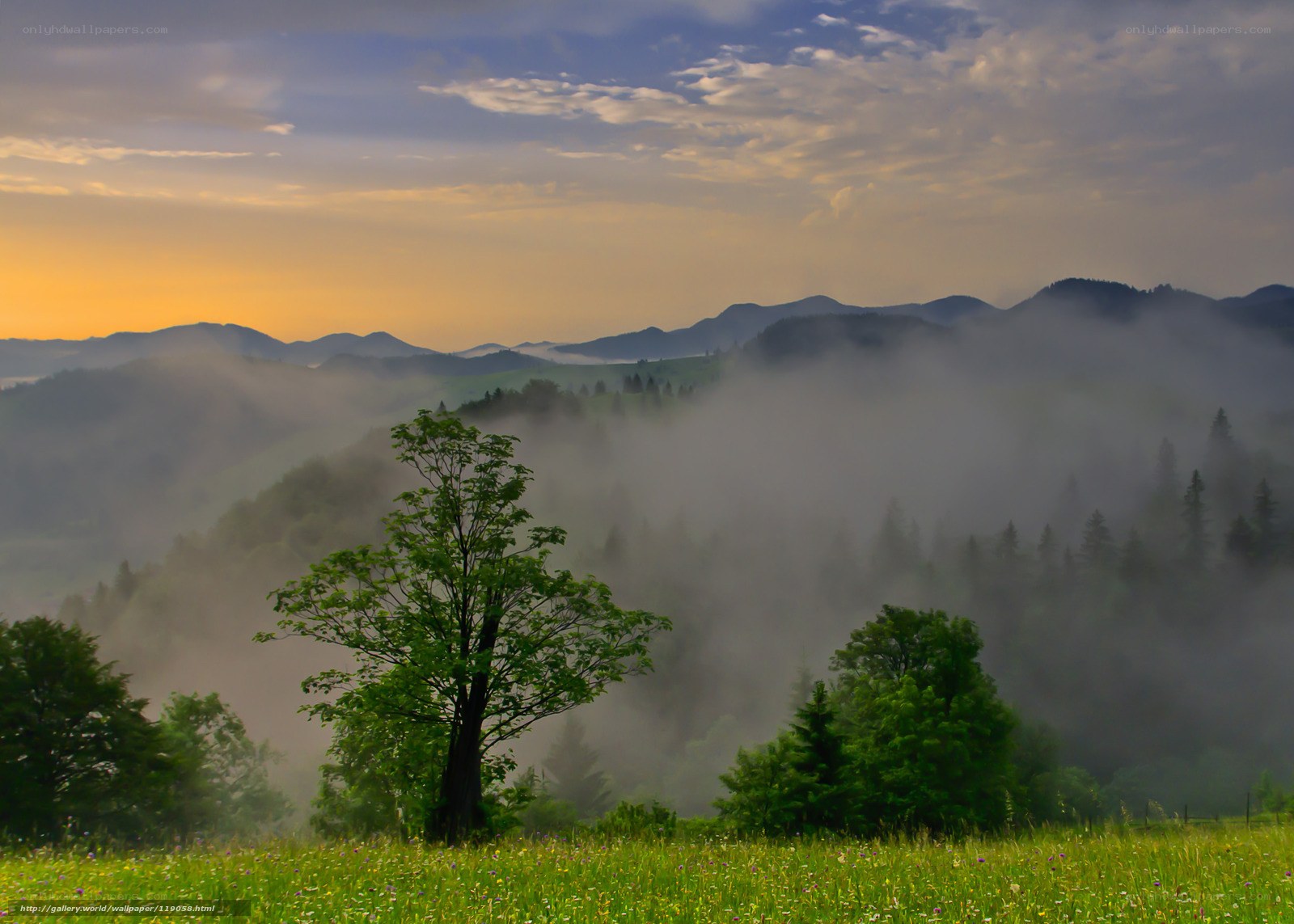 Misty mountains at sunrise