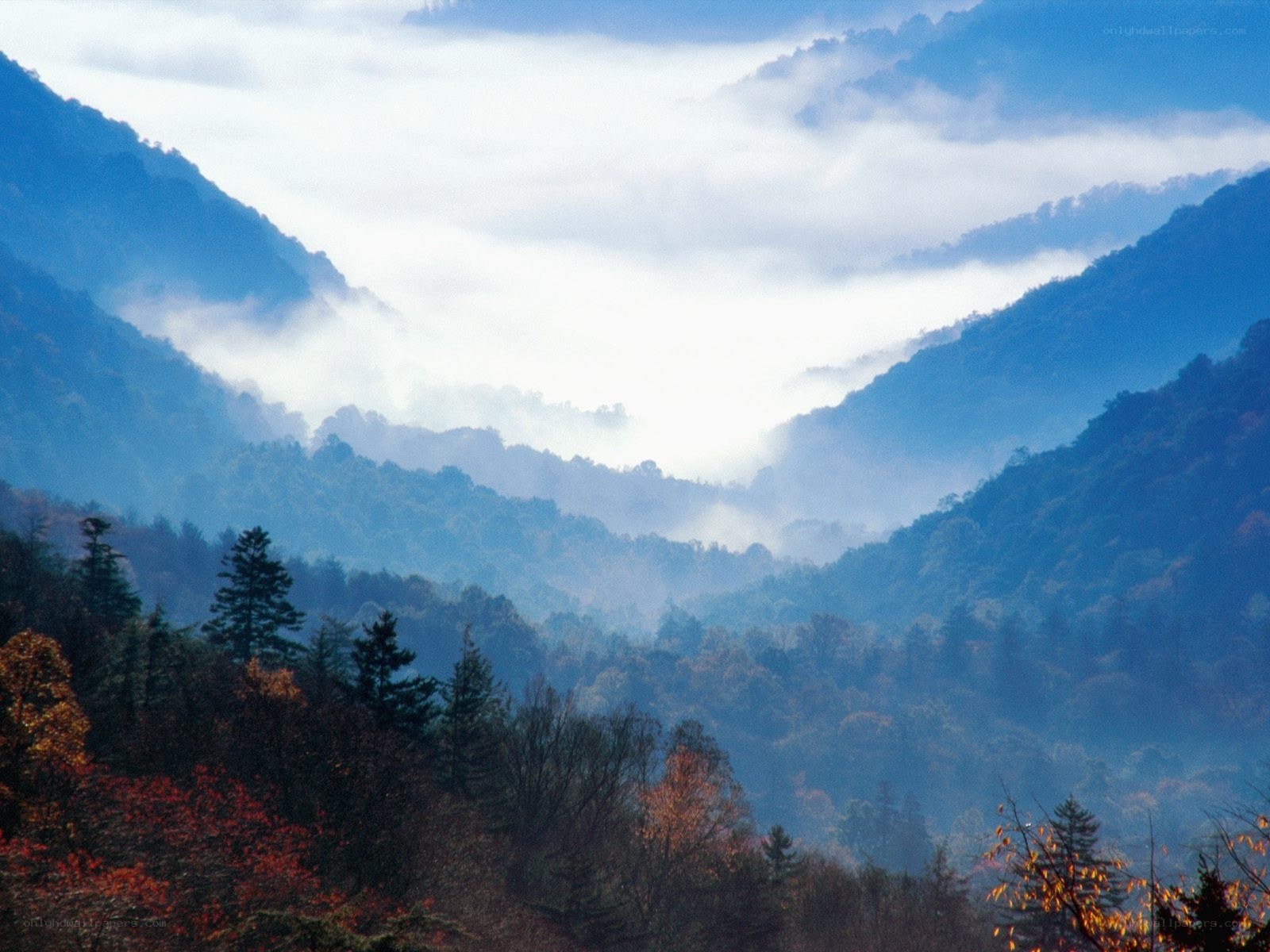 Misty mountains in autumn
