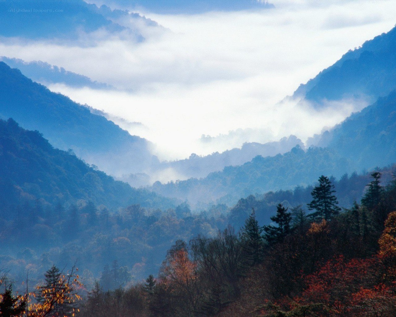 Misty mountains in autumn