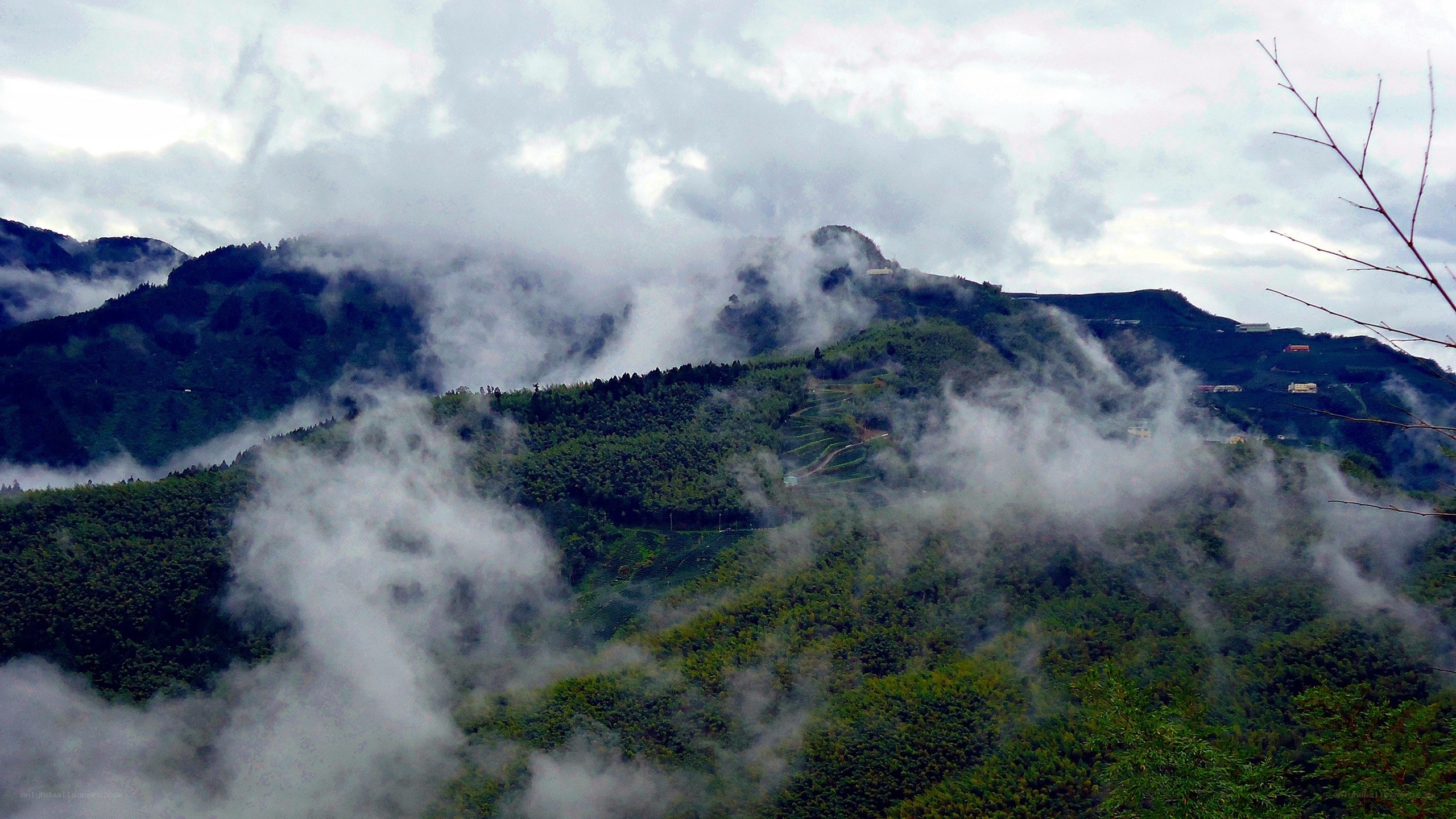 Misty mountains with clouds