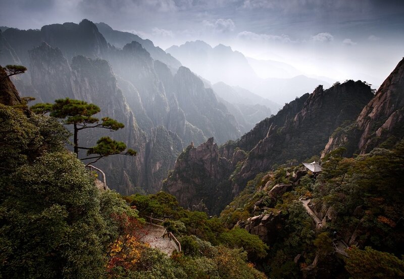 Misty mountains with pine trees