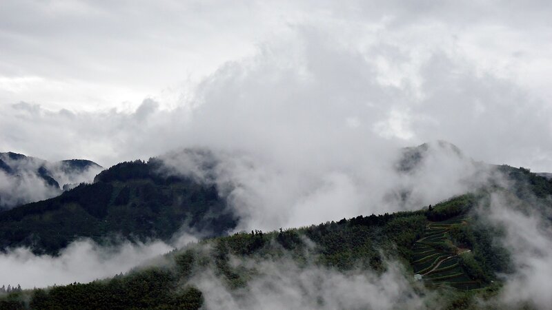 Misty mountains with terraced fields