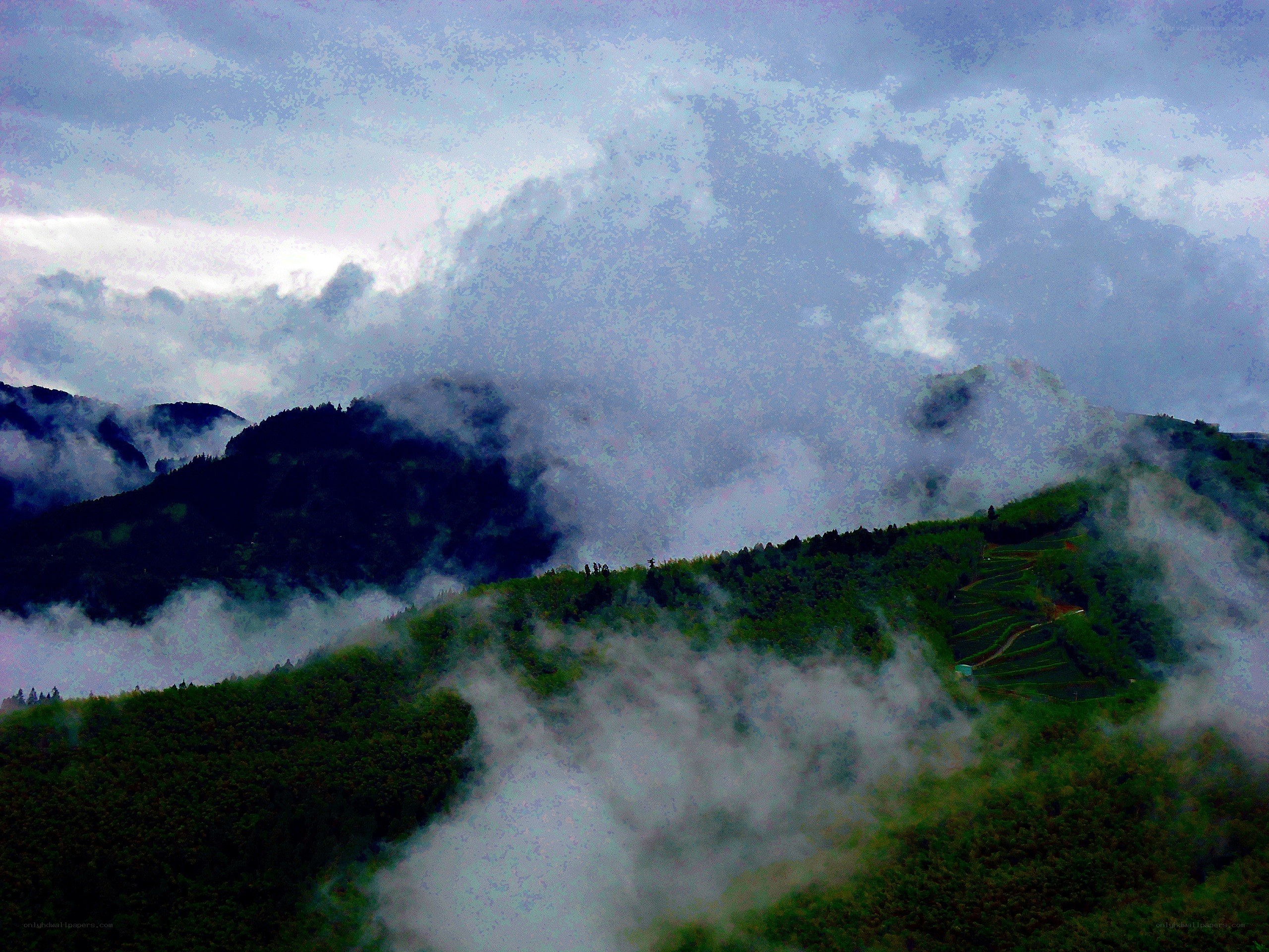 Misty mountains with terraced fields