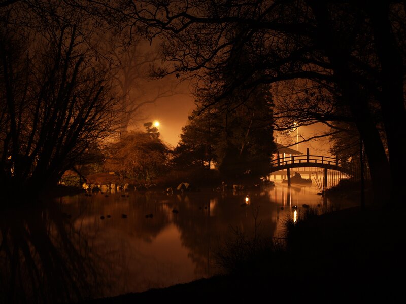 Misty night at the Japanese garden