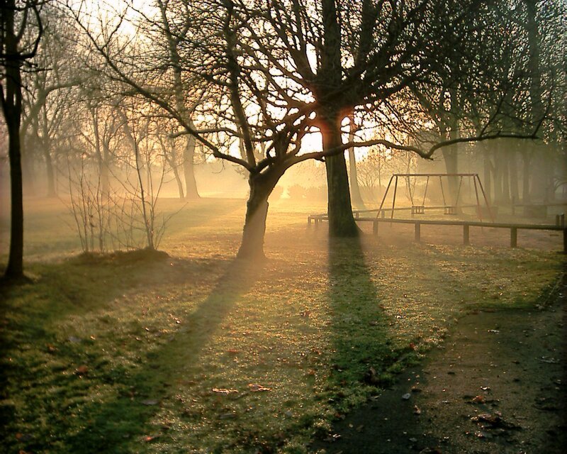 Misty park at sunrise