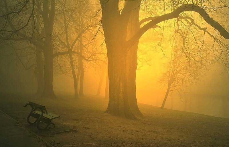 Misty park bench at sunrise
