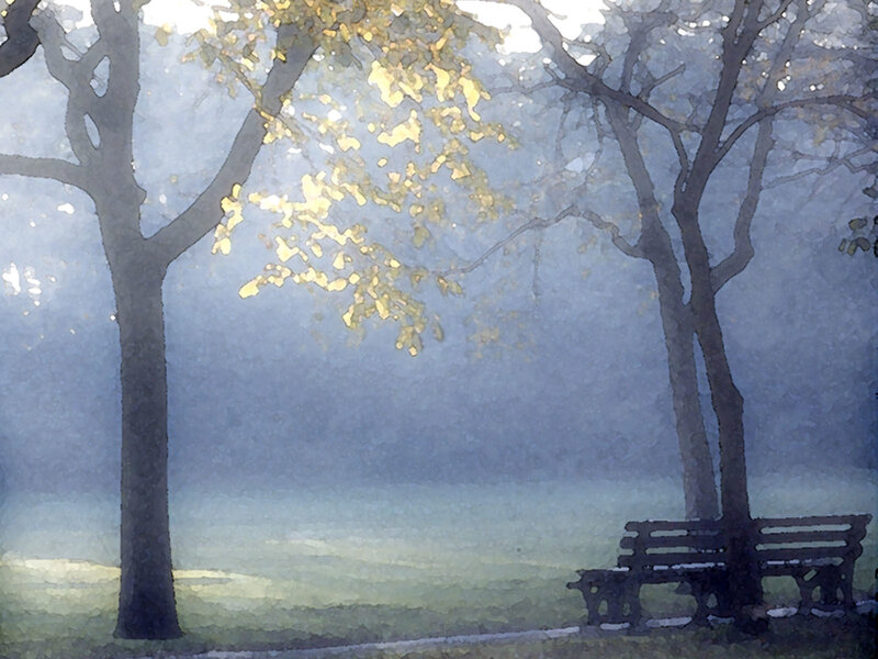 Misty park bench scene